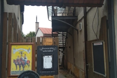 miletin_Jiří-Steininger‎-01