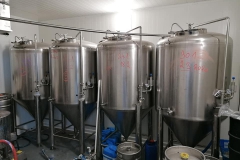 mlyn_Hynek-Rosenbaum03