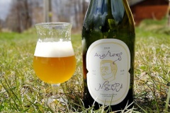 morous_NEIPA