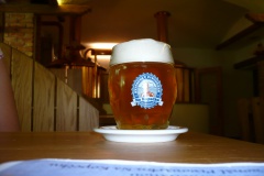 Svitavy-minipivovar-17.7.2011-06