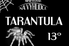 na vyhlidce_tarantula
