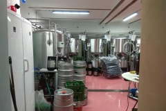 novabystřice_Petr-Melichárek-02