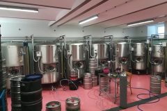 novabystrice_technologie