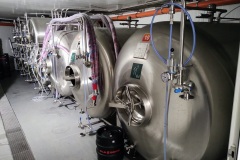 oldcock_Hynek-Rosenbaum-03