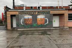 heřmanice-146553459_3737406022964433_1475257397694442906_n
