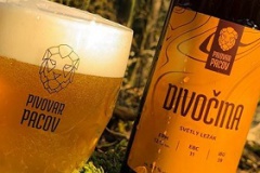 pacov_Divocina