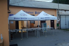 padochov_budova