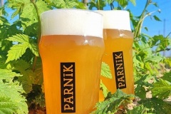 parnik_NEIPA