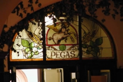 Brno Pegas  M. Kostov 04