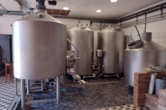 pikovice_Hynek-Rosenbaum-04