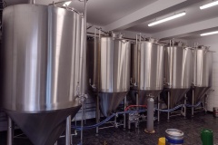 pikovice_Hynek-Rosenbaum-05