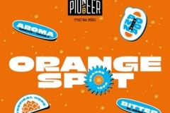 pioneer_OrangeSpot
