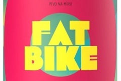 pioneerbeer_Fatbike