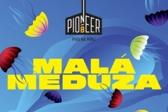 pioneerbeer_Malameduza