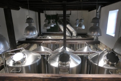 pioneerbeer_Minipivovárci-03