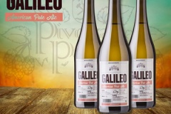 1_podlesi_Galileo