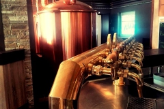 polivar 12036682_1052633838088831_3156105438015881696_n