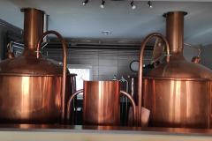 polivar_Eduard-Serba-02