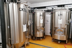 uhrineves_Hynek-Rosenbaum-06