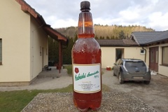 radnice_Roman-Maldas-Stochl-02