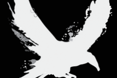 raven_logo