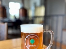 revniceAPA