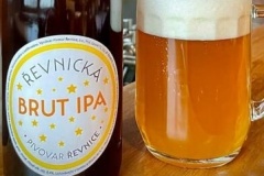revnice_BrutIPA
