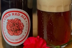 revnice_Coldred-Ale