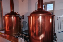 revnice_Hynek-Rosenbaum‎-04