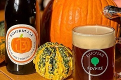revnice_Pumpkin