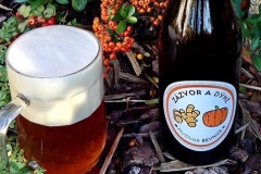 revnice_dyne_zazvor15