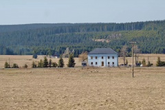 ryzovna-2019