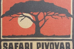 safari_logo