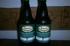 santon šlapanice 11754256_1156206214406634_372071192461329507_n