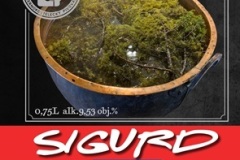 sigued