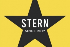 stern_logo