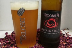 trilobit_Ruze