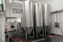 tvarg_Hynek-Rosenbaum-04