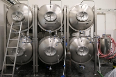 tvarg_Minipivovárci