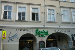 Praha-U-dvou-koček-5.3.2011-02