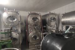 usneka_Eduard-Serba-02