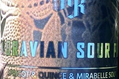 vik_MorvianSourAle