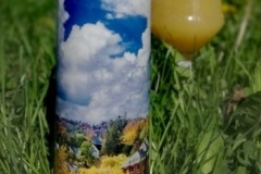 vik_green-mountain-neipa