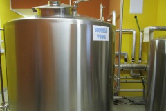 v06