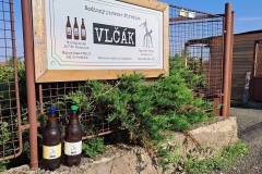 mireticevlcak_Adam-William-02