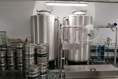 predklasteri_Hynek-Rosenbaum-j-05