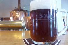 zichovec_rauch14