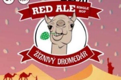 Žíznivý-dromedár_RedAle12