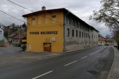 malenovice_Hynek-Rosenbaum‎