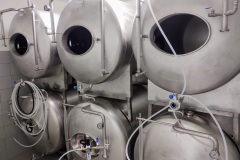 kozliorlik_Hynek-Rosenbaum-04